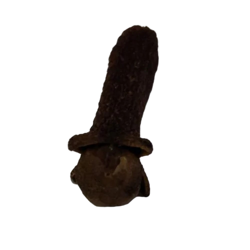 Whole Organic Dry Clove