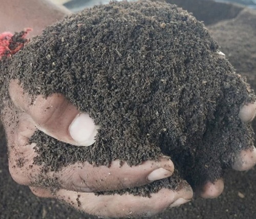 Organic Fertilizer