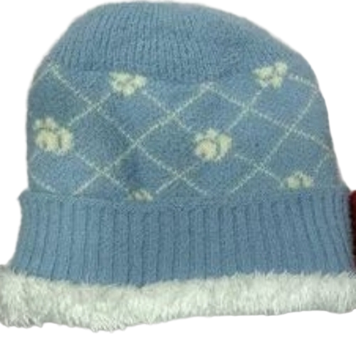 Blue Ladies Hair Woolen Cap