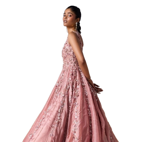 Party Wear Gown