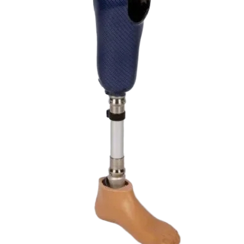 Lower Knee Limb