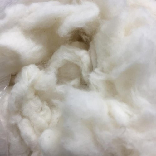 Cotton Waste