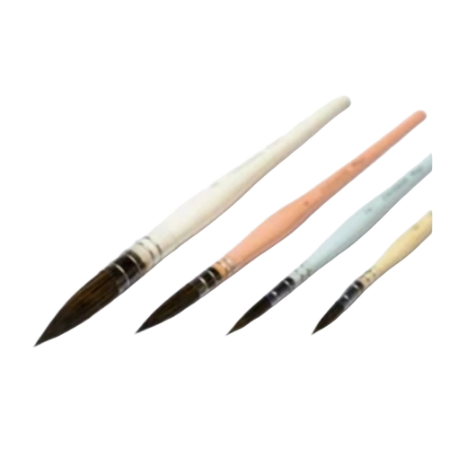 Multicolor Wooden Brush Set