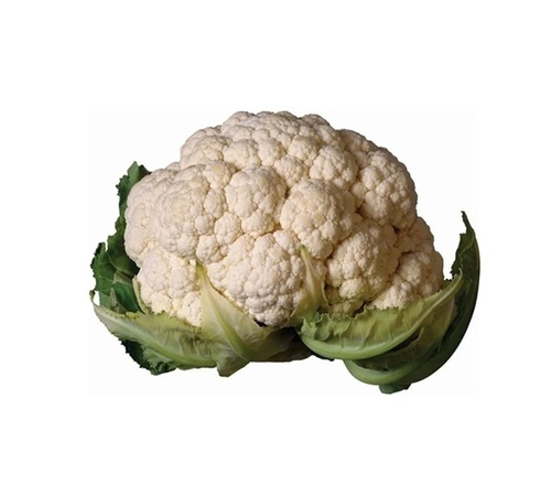 Cauliflower By Prashi Farms Private Limited
