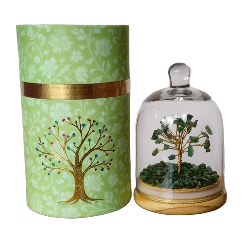 Green Jade Doms Tree - Size: Standard