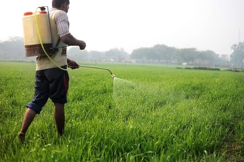 Agriculture Insecticides
