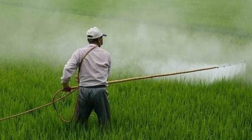Bio Insecticides
