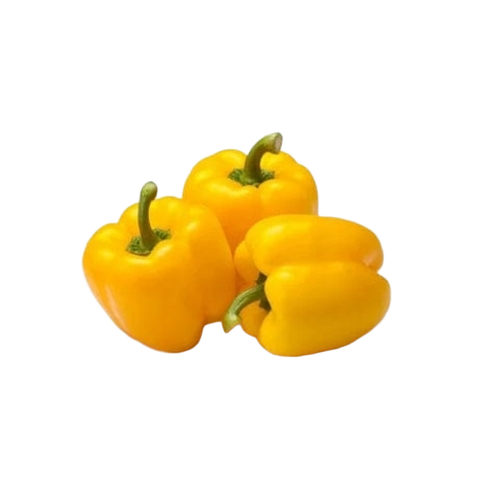 Yellow capsicum