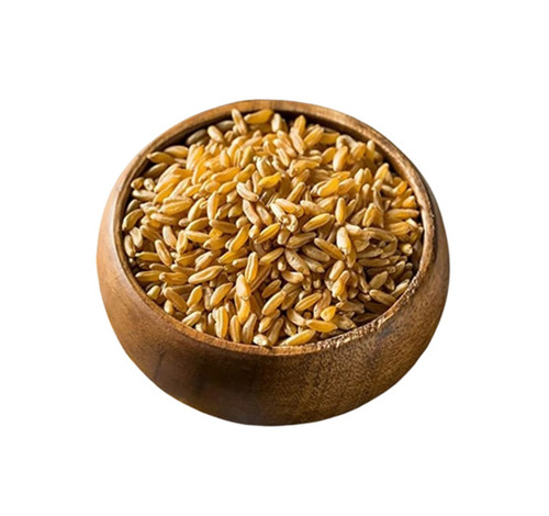 Wheat Grain