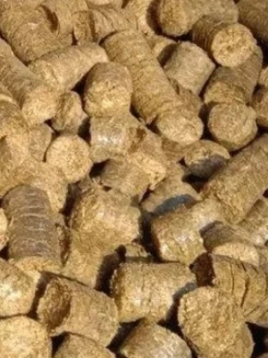 Makka Stalk Briquettes