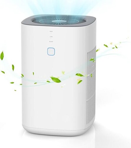 Air Cleaner