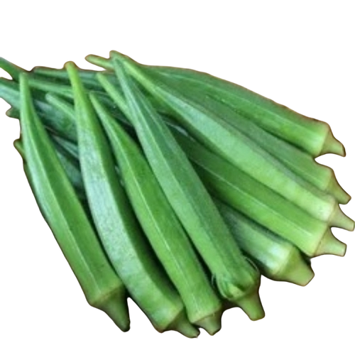 Lady Finger