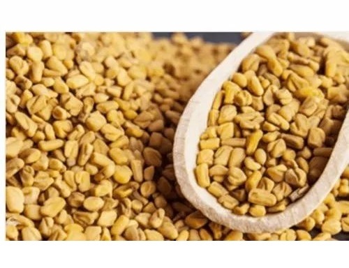 Dried Organic Fenugreek Seeds - Color: Yellow