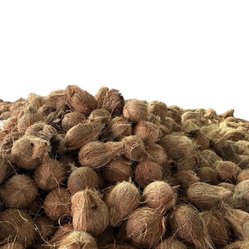 Fully Husked Coconut