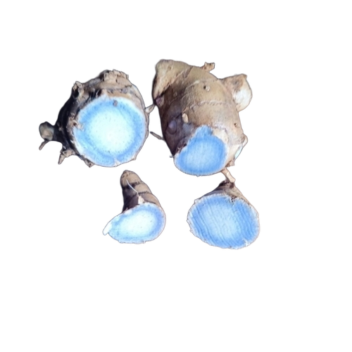 Black Turmaric Seeds - Organic Turmaric Seeds, Black Color, Grade A, 100% Purity
