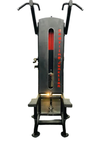 Chin Dip Assist Gym Machine