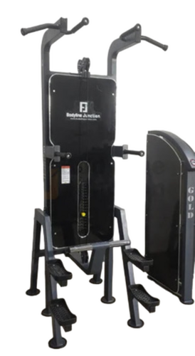 Ms Dip Chin Assist Machine