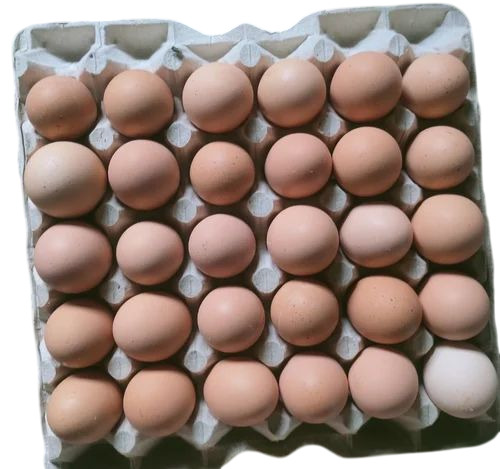 Brown Eggs