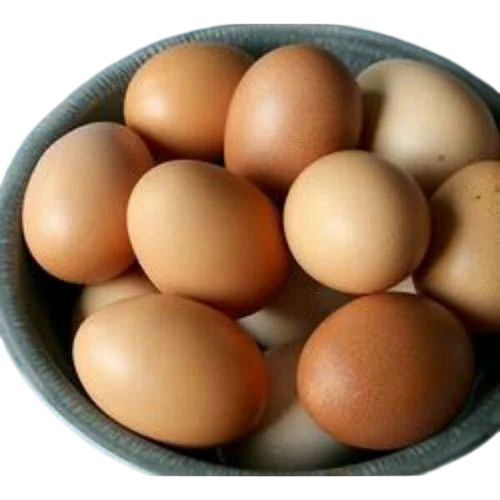 Kadaknath Brown Egg