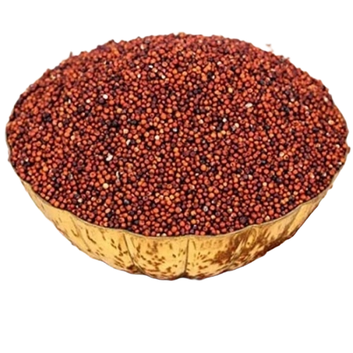 Reddish Brown Ragi Millet Seeds - Natural Dried Common Cultivation 50kg | Very Good Quality Good for Health