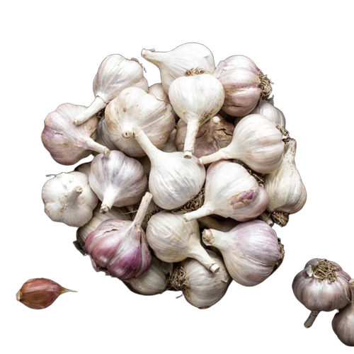 A Grade Fresh Garlic - Shelf Life: 2 Months