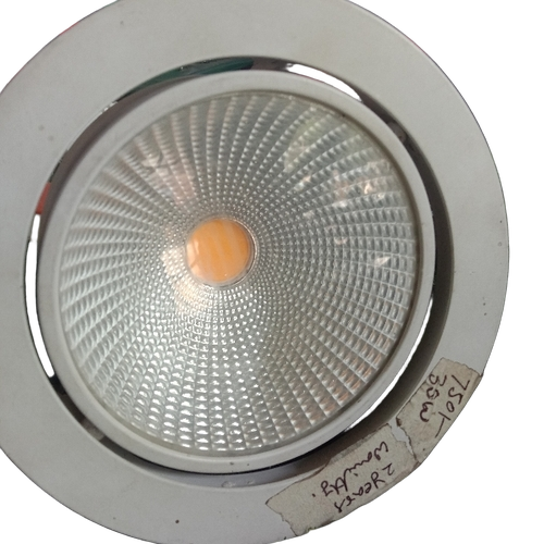 Cob Led Light