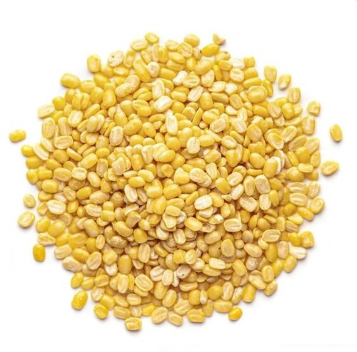 Yellow Moong Dal By Rajpal Trading Company