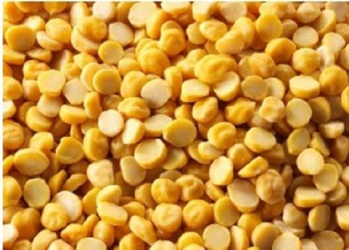 Yellow Split Chickpeas - Cultivation Type: Common