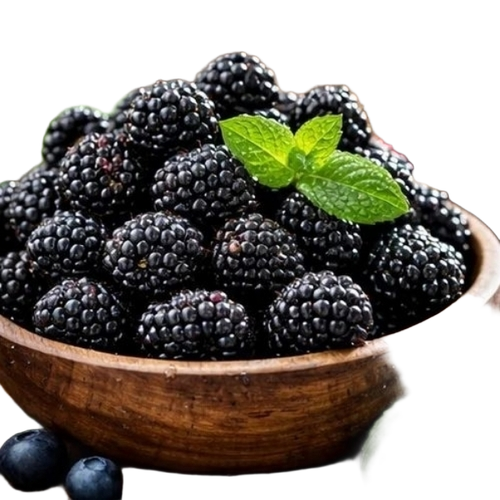 Blackberry Fruit