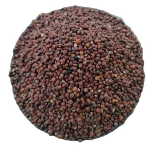 Red Quinoa Seeds - 25 Kg, PP Bags | 99% Purity, Dried Style, 12 Months Shelf Life