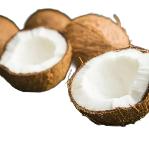 Coconut