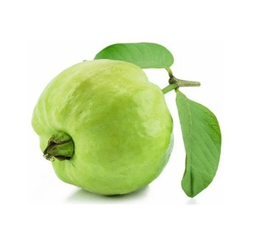 Frozen Guava - Color: Green