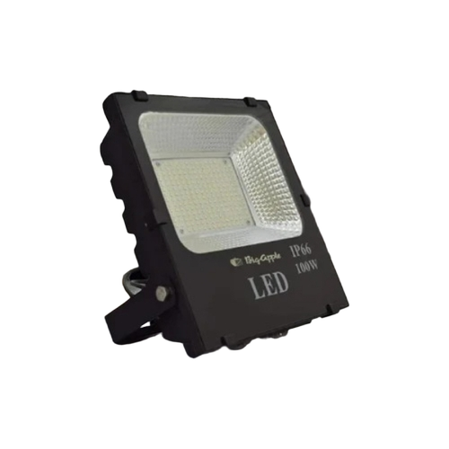 100 Watt Flood Light