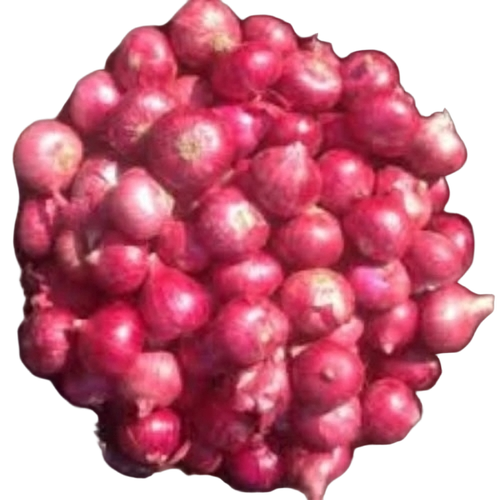 Fresh Harvest Red Onion