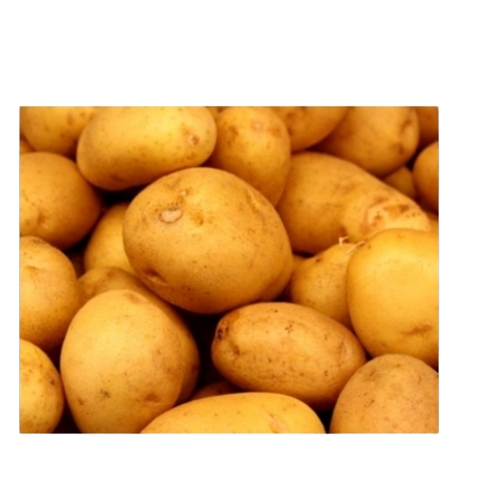 Fresh Potato