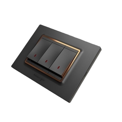 Modular Switches