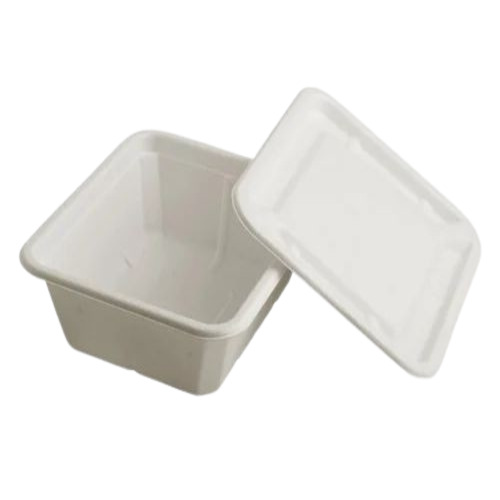 Compartment Disposable Food Container