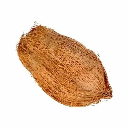 Medium Whole Husked Coconut