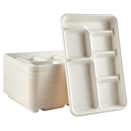 Disposable 6 Compartment Plate
