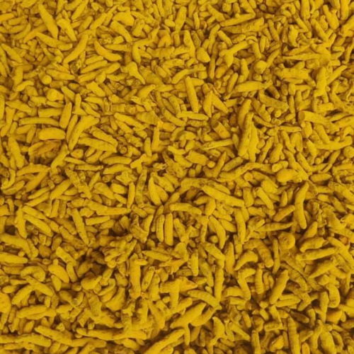 Turmeric Finger - Whole Raw Turmeric, Yellow Pieces | Natural Flavor, 50kg, Natural Dried