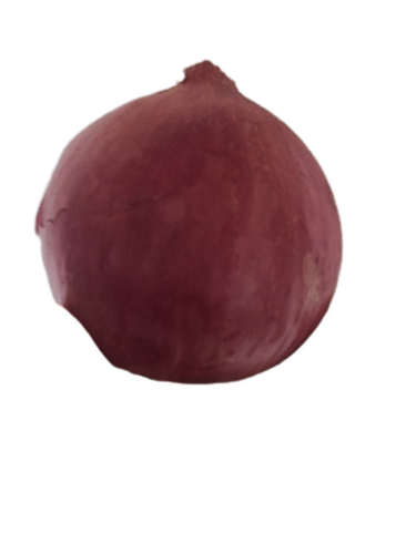 Fresh Onion