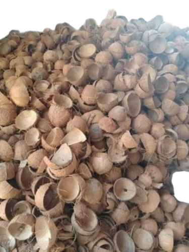 Coconut Shell