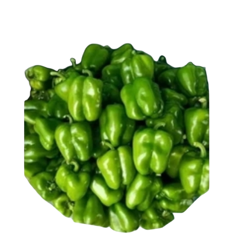 Fresh Capsicum - Cultivation Type: Common