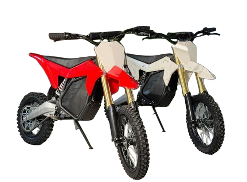 Electro & Co Etm Rtr Sport Bike