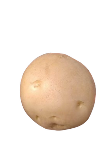 Fresh Potatos - Packaging Size: 50 Kg