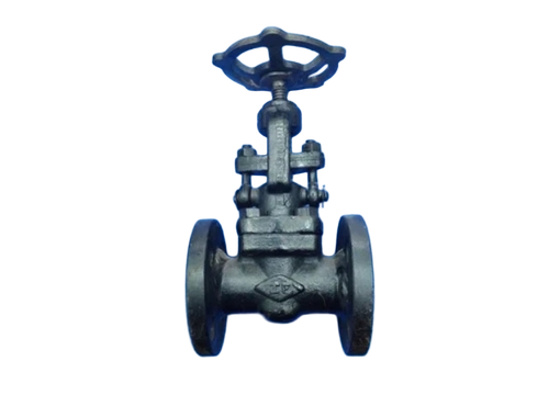 Forged Steel Globe Valve Class 800 - Color: Black