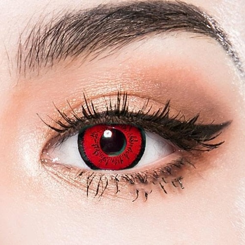 Soft Contact Lenses