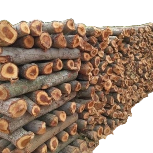 Solid Fire Wood Logs