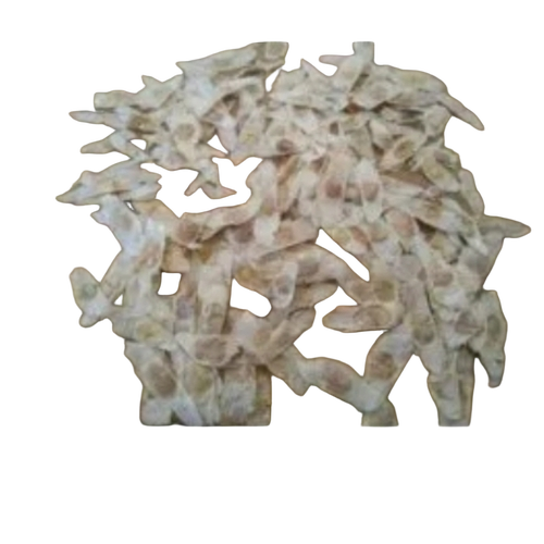 Tecoma Stans Seed