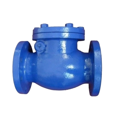 Cast Iron Blue Check Valve